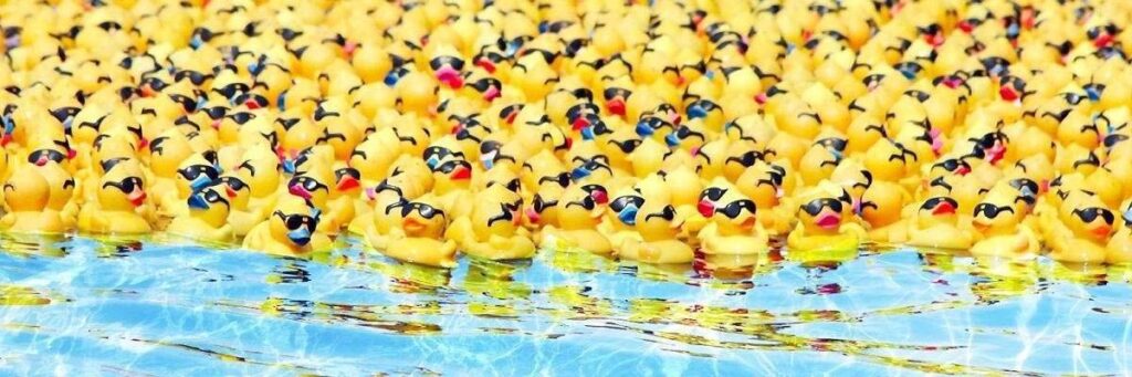 A ton of rubber ducks on water