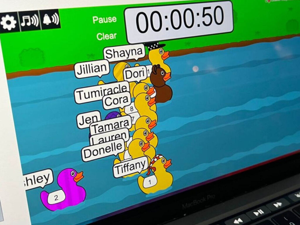 The duck race