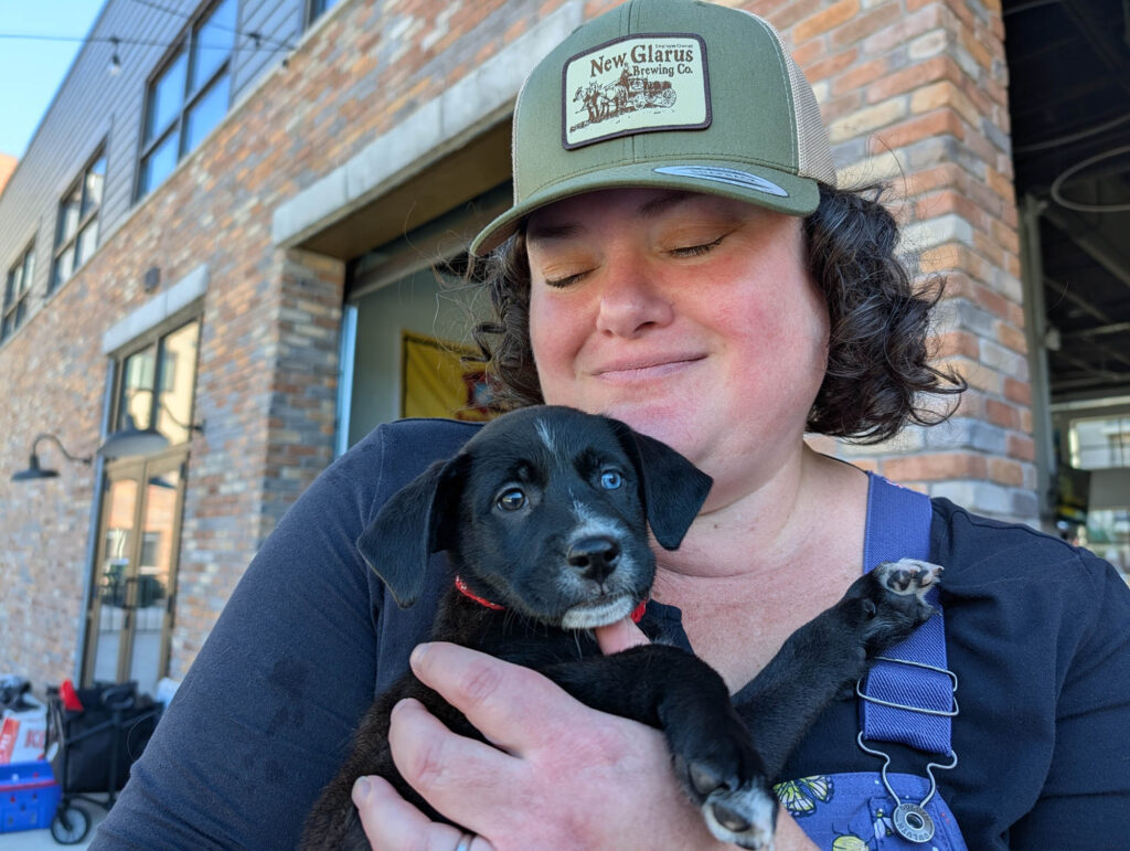 A lab puppy with two different colored eyes being snuggled at The Kickback