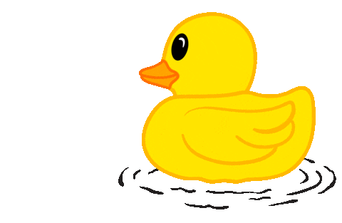 a rubber duck animated gif
